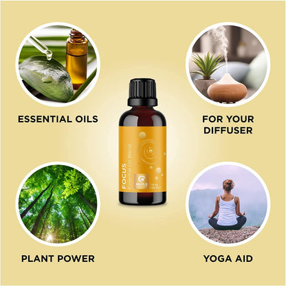 Focused Mood Essential Oil